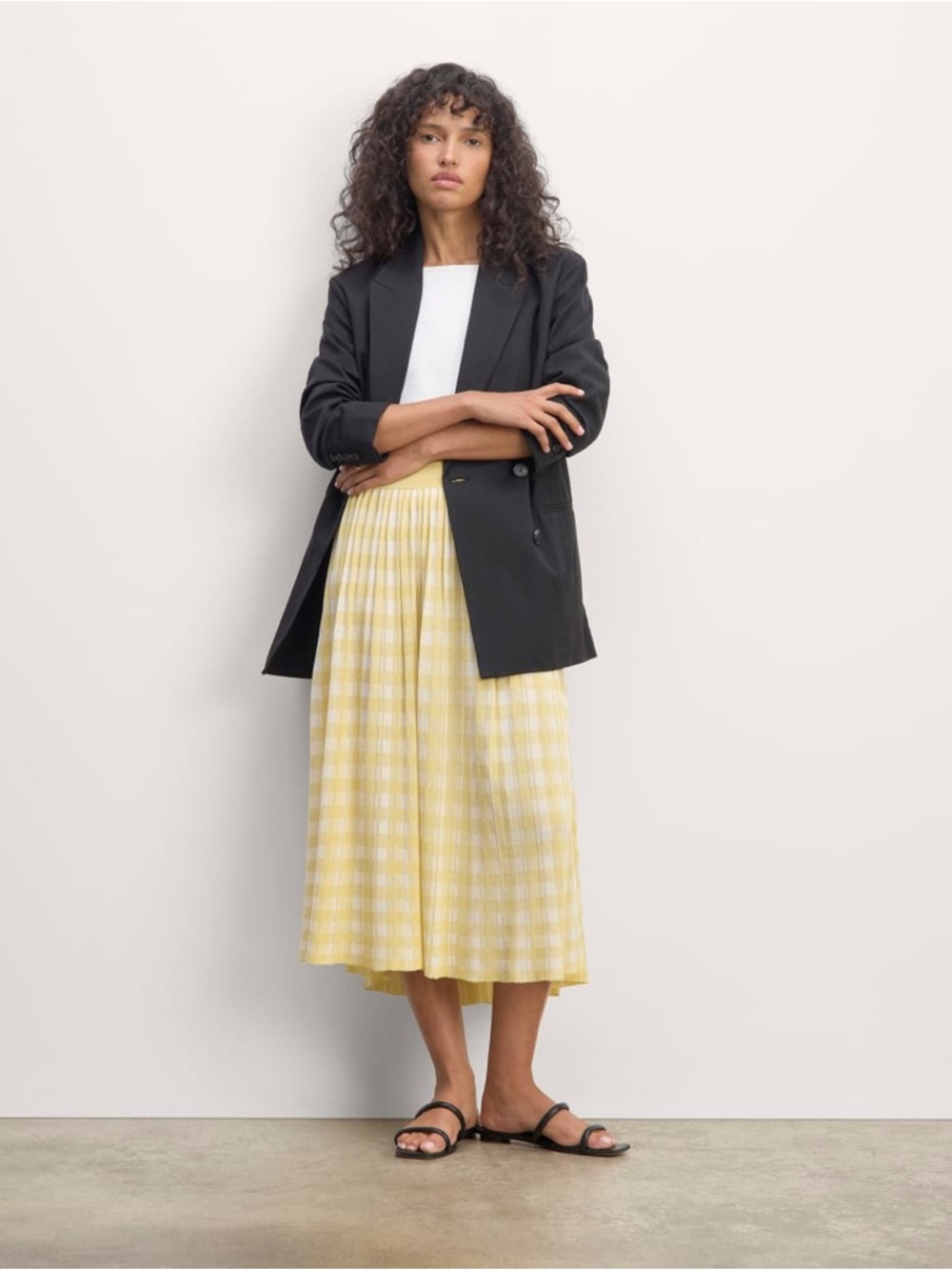 Everlane The Pleated Skirt Bone/Parsnip Gingham NWT Sz S